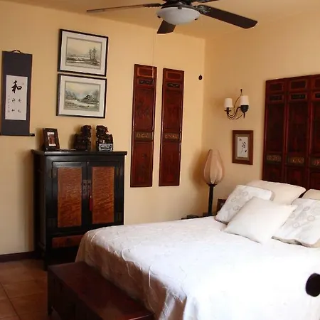 Casa Tajinaste Holiday home Puerto del Carmen (Lanzarote)
